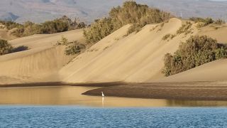 2023-11-GranCan-Maspalomas_Oasis-07.jpg